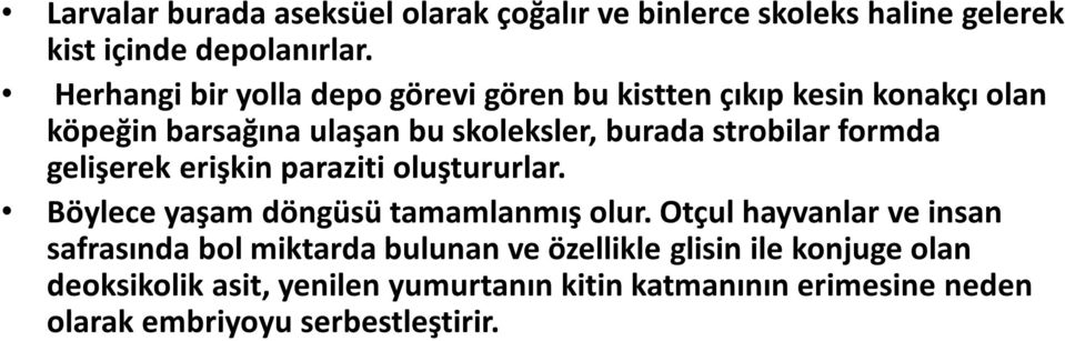 strobilar formda gelişerek erişkin paraziti oluştururlar. Böylece yaşam döngüsü tamamlanmış olur.