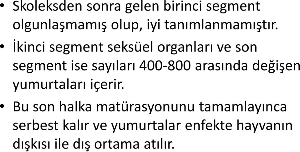 İkinci segment seksüel organları ve son segment ise sayıları 400-800