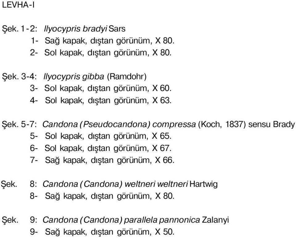 6- Sol kapak, dıştan görünüm, X 67. 7- Sağ kapak, dıştan görünüm, X 66. Şek.