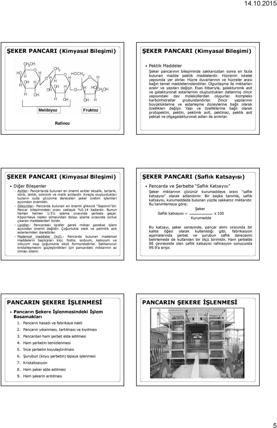 Esas itibarıyla, galakturonik asit ve galakturonat esterlerinin oluşturdukları dallanmış zincir yapısındaki dev moleküllerden oluşurlar. Kompleks karbonhidratlar grubundandırlar.