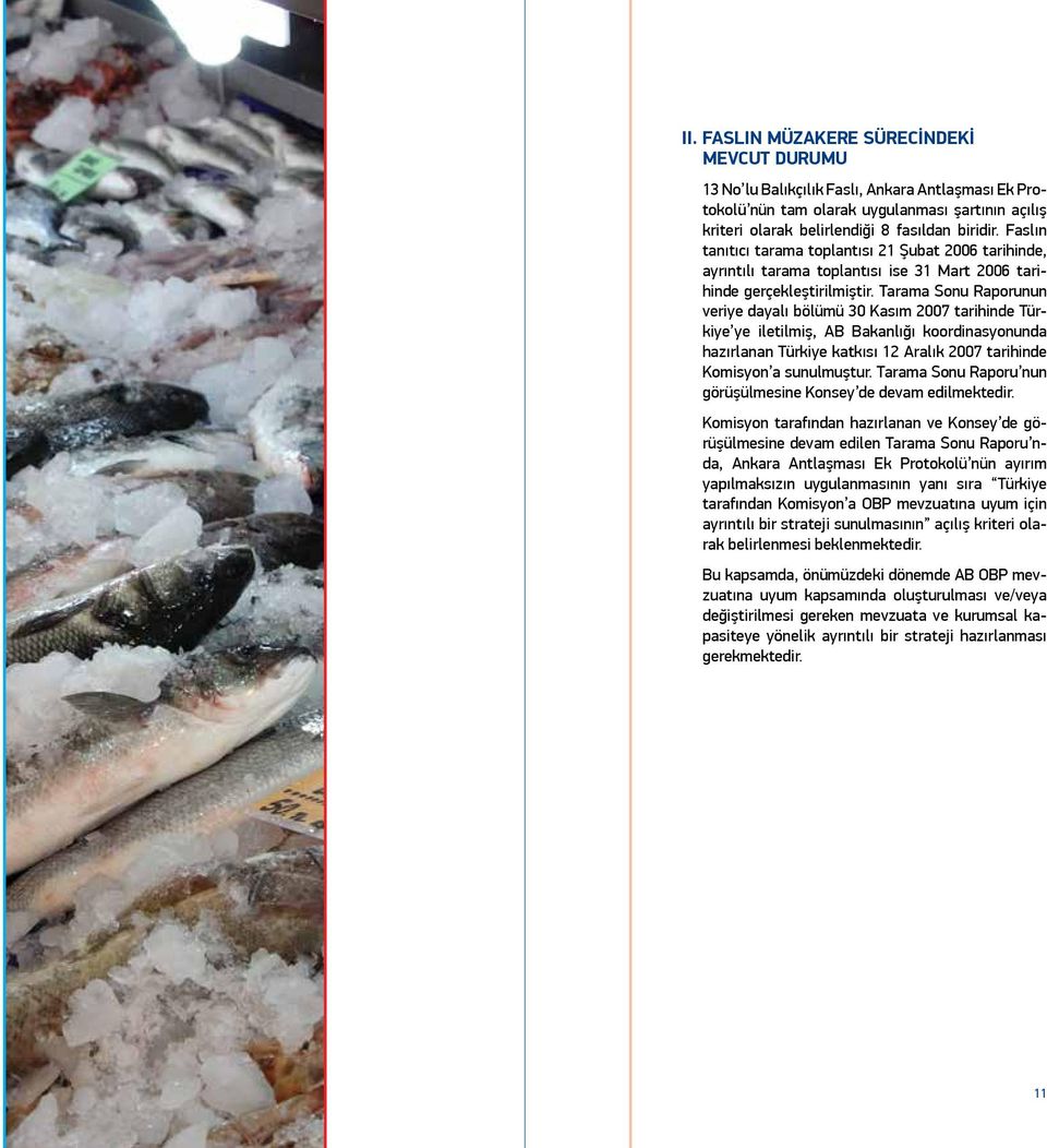 Tarama Sonu Raporunun veriye dayalı bölümü 30 Kasım 2007 tarihinde Türkiye ye iletilmiş, AB Bakanlığı koordinasyonunda hazırlanan Türkiye katkısı 12 Aralık 2007 tarihinde Komisyon a sunulmuştur.