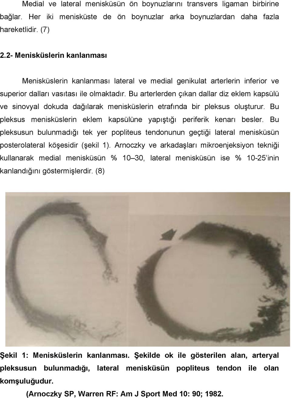 Bu arterlerden çıkan dallar diz eklem kapsülü ve sinovyal dokuda dağılarak menisküslerin etrafında bir pleksus oluşturur. Bu pleksus menisküslerin eklem kapsülüne yapıştığı periferik kenarı besler.