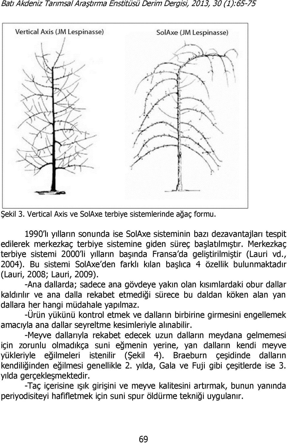 Merkezkaç terbiye sistemi 2000 li yılların başında Fransa da geliştirilmiştir (Lauri vd., 2004). Bu sistemi SolAxe den farklı kılan başlıca 4 özellik bulunmaktadır (Lauri, 2008; Lauri, 2009).