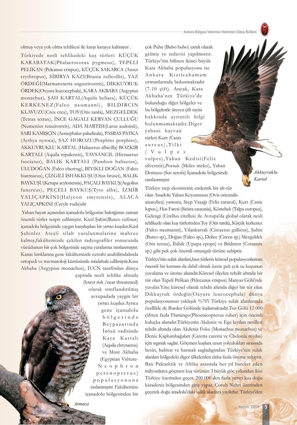 ÖRDEÐÝ(Marmaronetta angustirostris), DÝKKUYRUK ÖRDEK(Oxyura leucocephala), KARA AKBABA (Aegypius monachus), ÞAH KARTAL(Aquila heliaca), KÜÇÜK KERKENEZ(Falco naumanni), BILDIRCIN KLAVUZU(Crex crex),