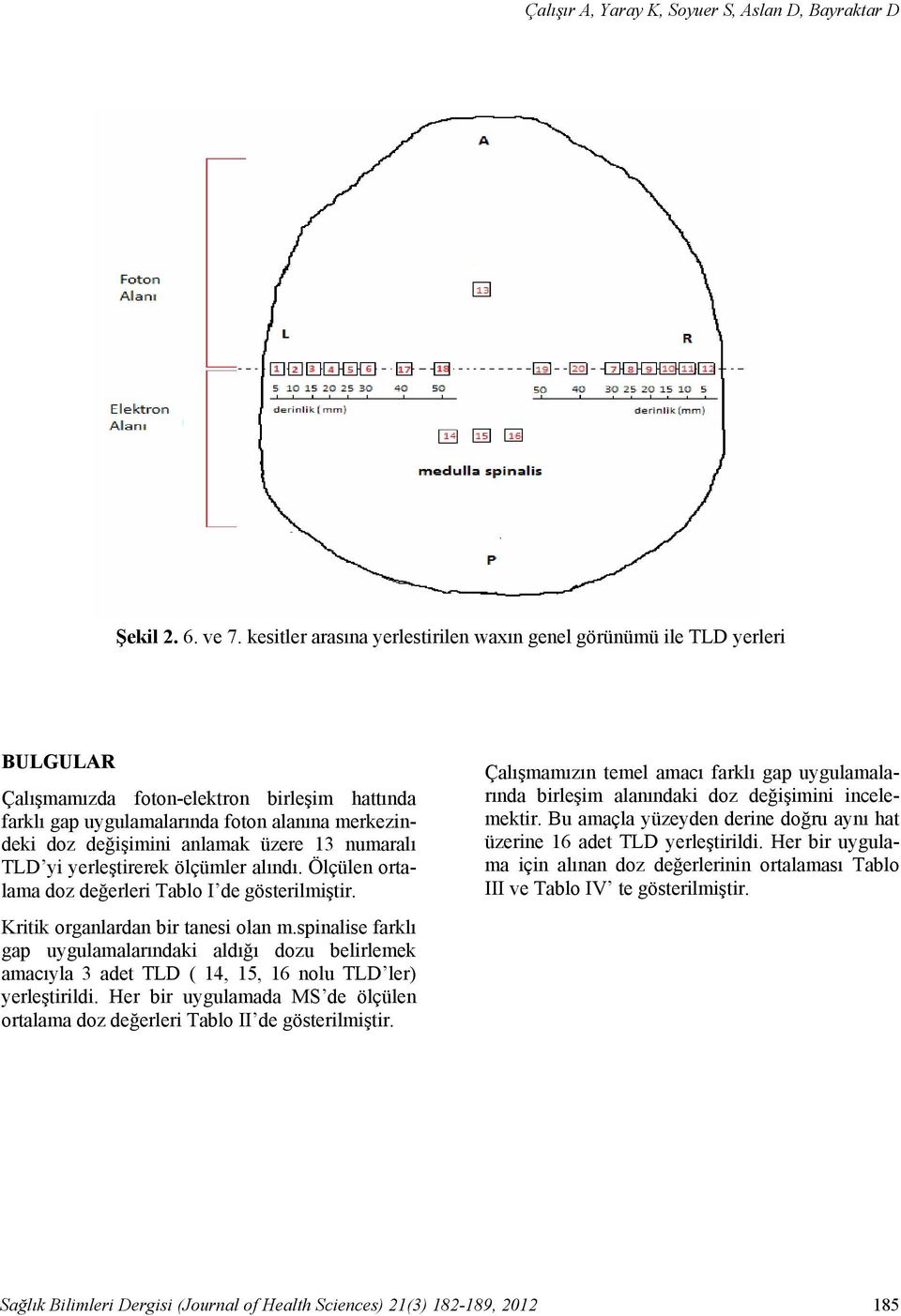 üzere 13 numaralı TLD yi yerleştirerek ölçümler alındı. Ölçülen ortalama doz değerleri Tablo I de gösterilmiştir. Kritik organlardan bir tanesi olan m.