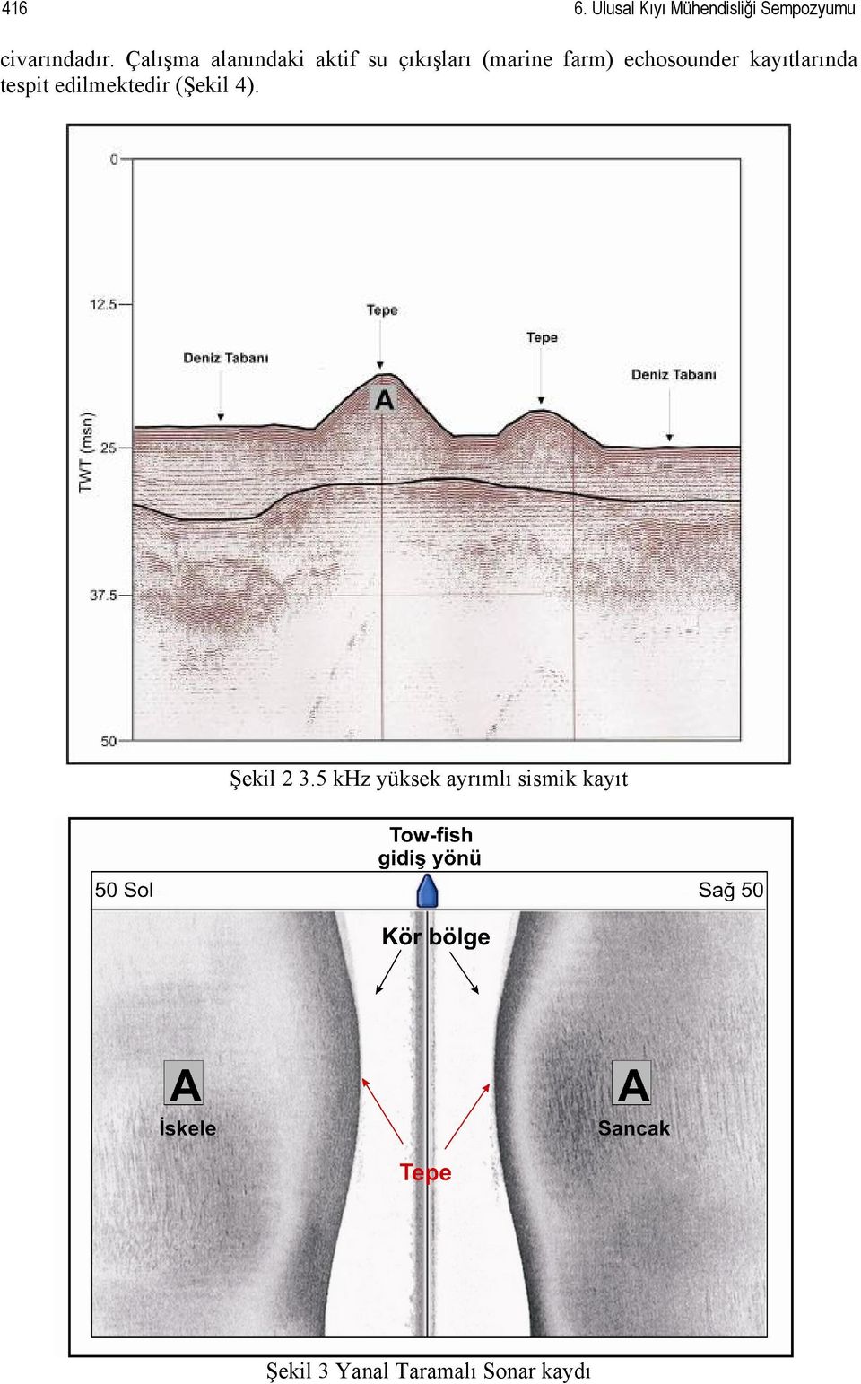 echosounder kayıtlarında tespit edilmektedir (Şekil 4).