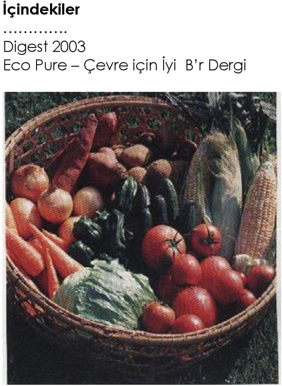 Eco Pure Çevre