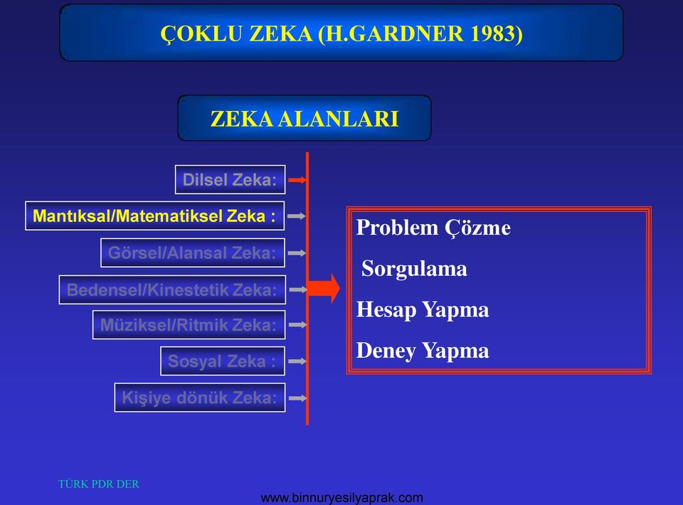 Mantıksal/Matematiksel Zeka : Görsel/Alansal Zeka: