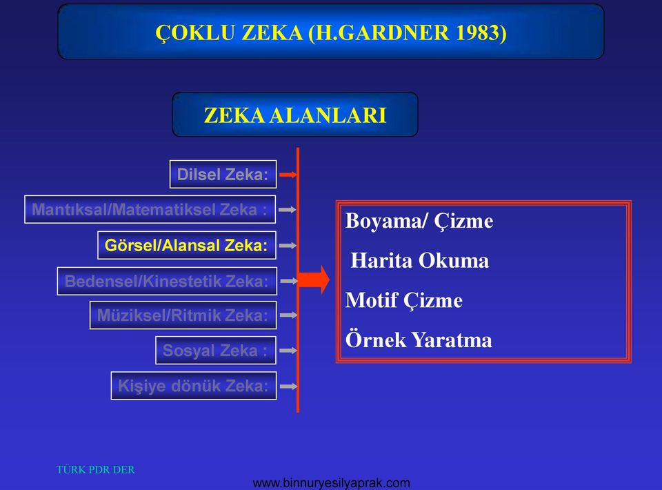 Mantıksal/Matematiksel Zeka : Görsel/Alansal Zeka: