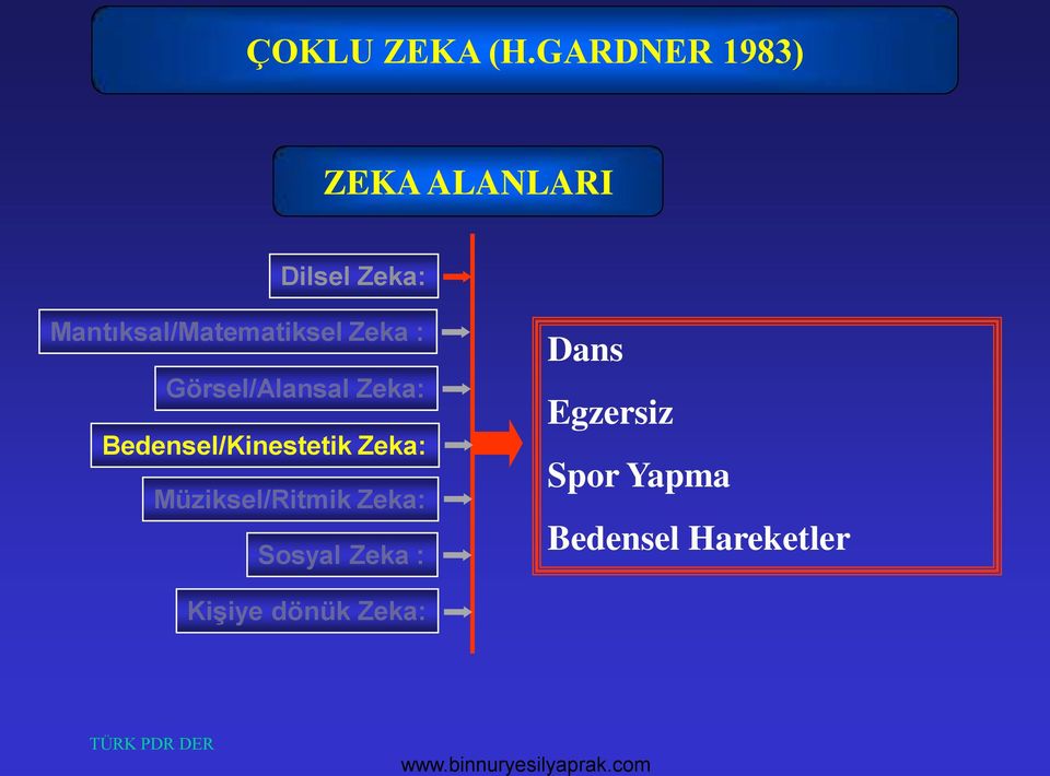 Mantıksal/Matematiksel Zeka : Görsel/Alansal Zeka: