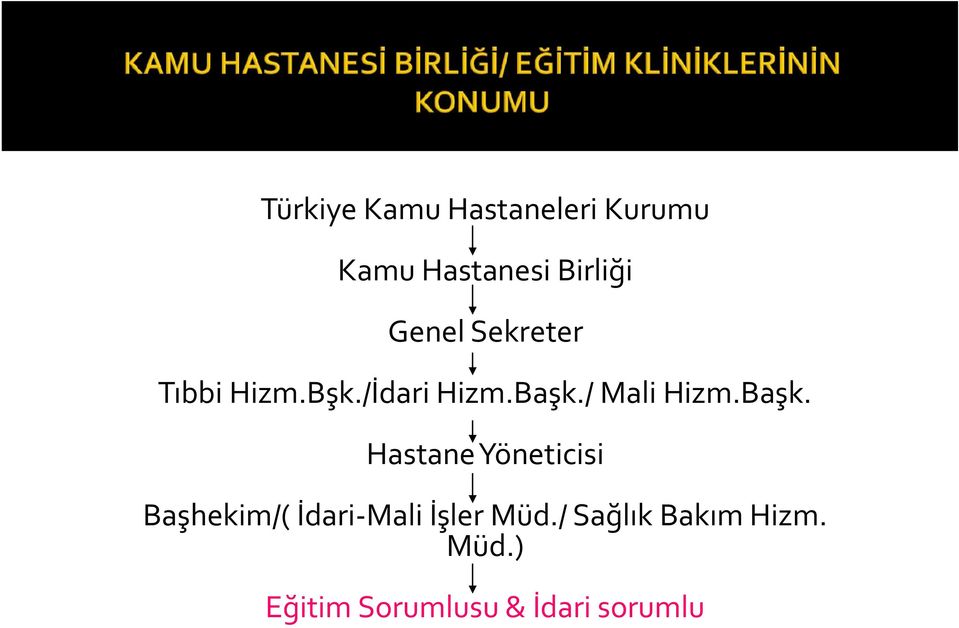 / Mali Hizm.Başk.