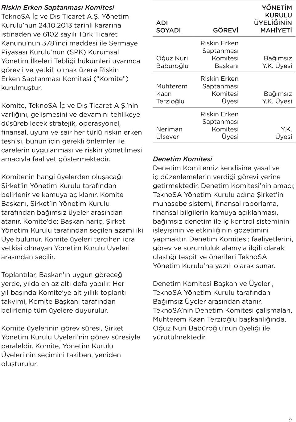 olmak üzere Riskin Erken Saptanması ( Komite ) kurulmuştur. Komite, TeknoSA İç ve Dış Ticaret A.Ş.