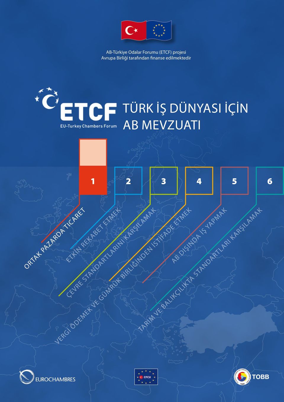 ETKİN REKABET ETMEK ÇEVRE STANDARTLARINI KARŞILAMAK VERGİ ÖDEMEK VE GÜMRÜK