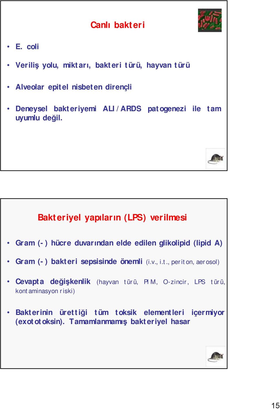 patogenezi ile tam uyumlu değil.