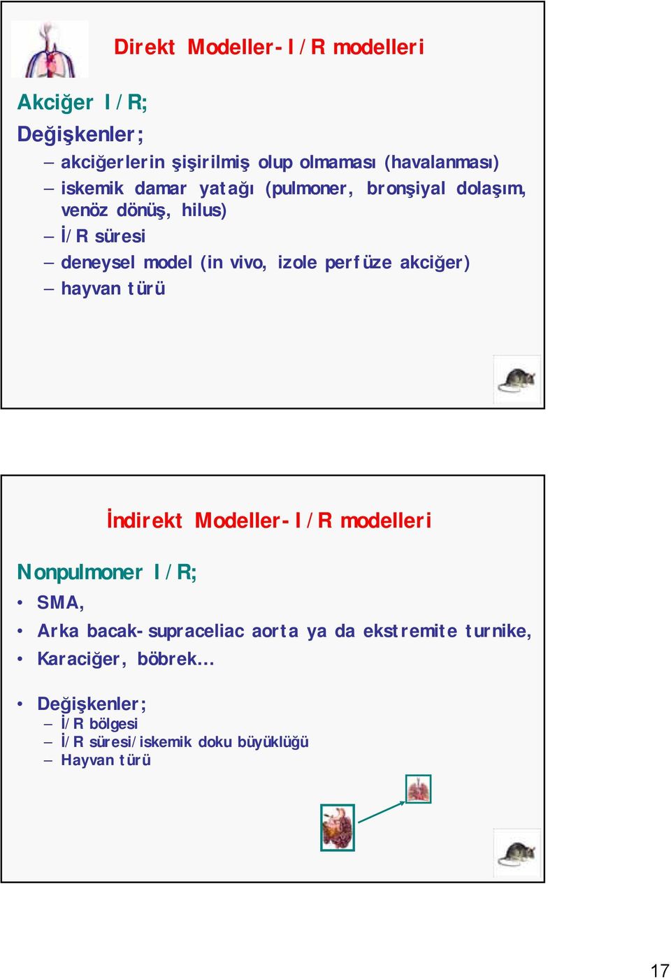 perfüze akciğer) hayvan türü İndirekt Modeller-I/R modelleri Nonpulmoner I/R; SMA, Arka bacak-supraceliac aorta