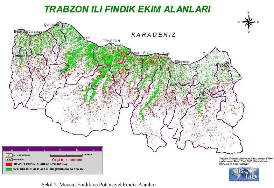 Fındık ve