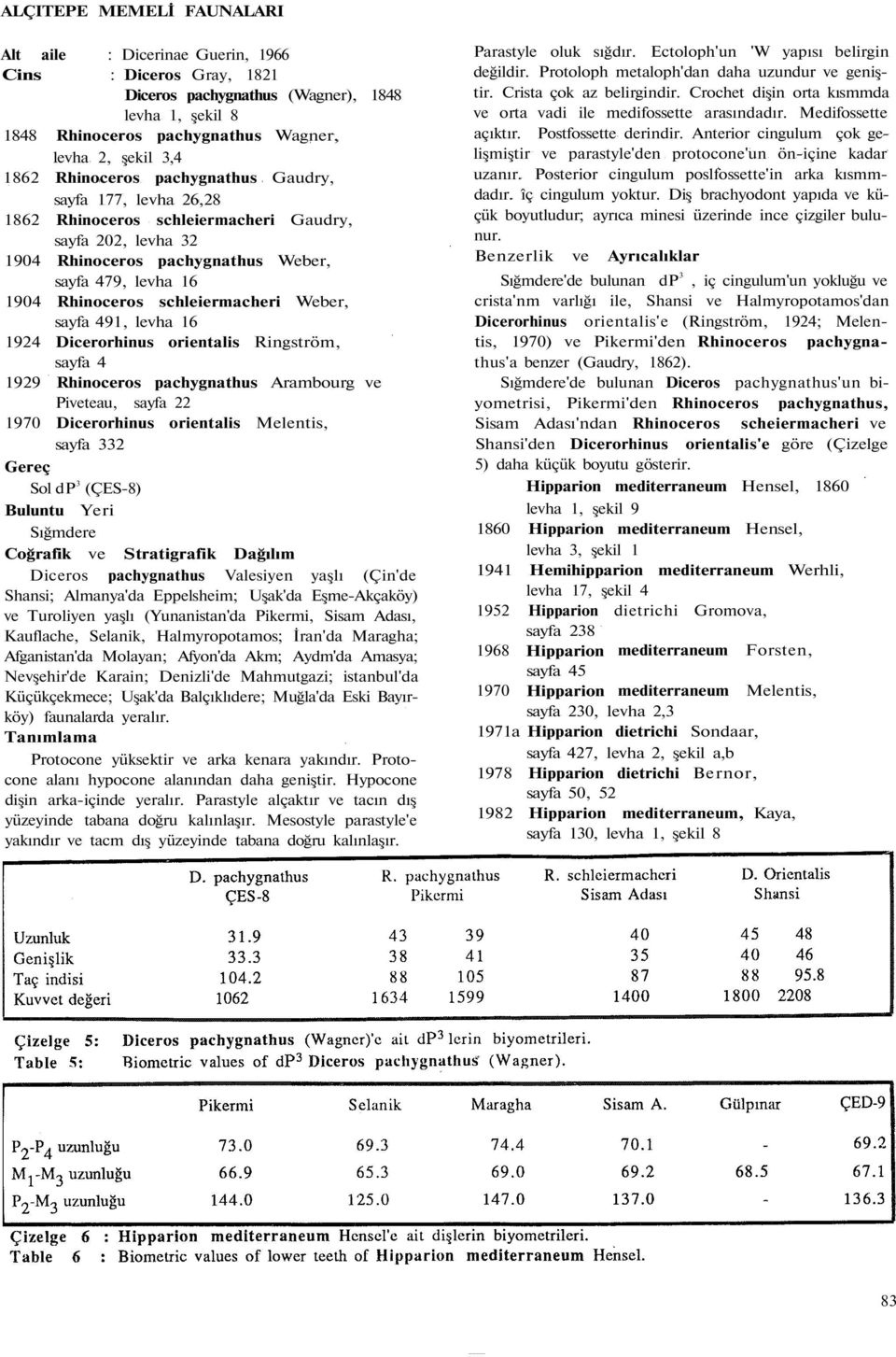 schleiermacheri Weber, sayfa 491, levha 16 1924 Dicerorhinus orientalis Ringström, sayfa 4 1929 Rhinoceros pachygnathus Arambourg ve Piveteau, sayfa 22 1970 Dicerorhinus orientalis Melentis, sayfa