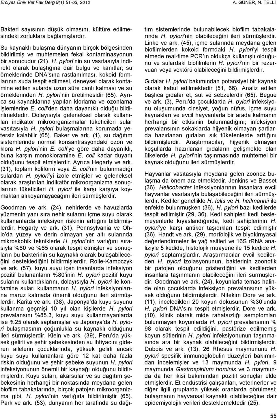 pylori nin su vasıtasıyla indirekt olarak bulaştığına dair bulgu ve kanıtlar; su örneklerinde DNA sına rastlanılması, kokoid formlarının suda tespit edilmesi, deneysel olarak kontamine edilen sularda