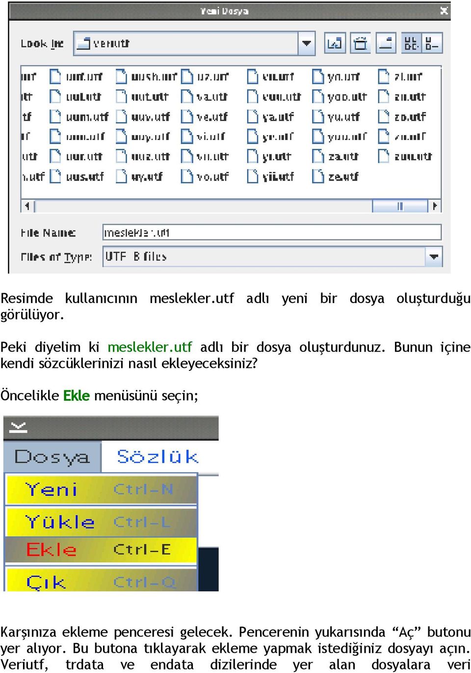 Öncelikle Ekle menüsünü seçin; Karşınıza ekleme penceresi gelecek.