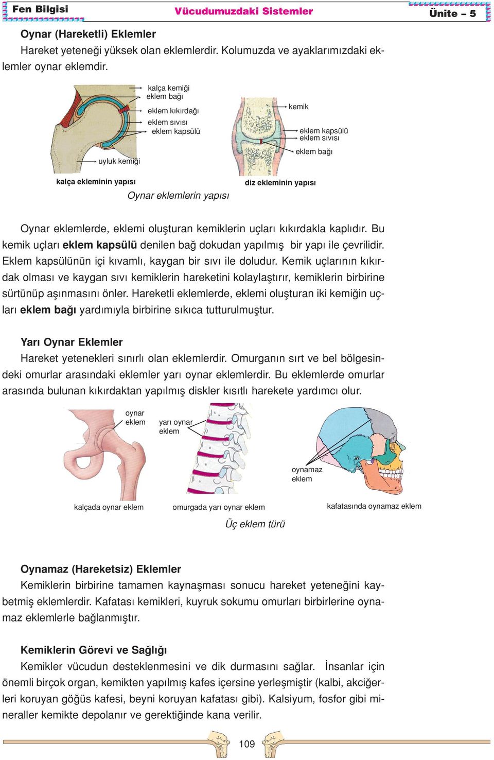 eklemi oluflturan kemiklerin uçlar k k rdakla kapl d r. Bu kemik uçlar eklem kapsülü denilen ba dokudan yap lm fl bir yap ile çevrilidir. Eklem kapsülünün içi k vaml, kaygan bir s v ile doludur.