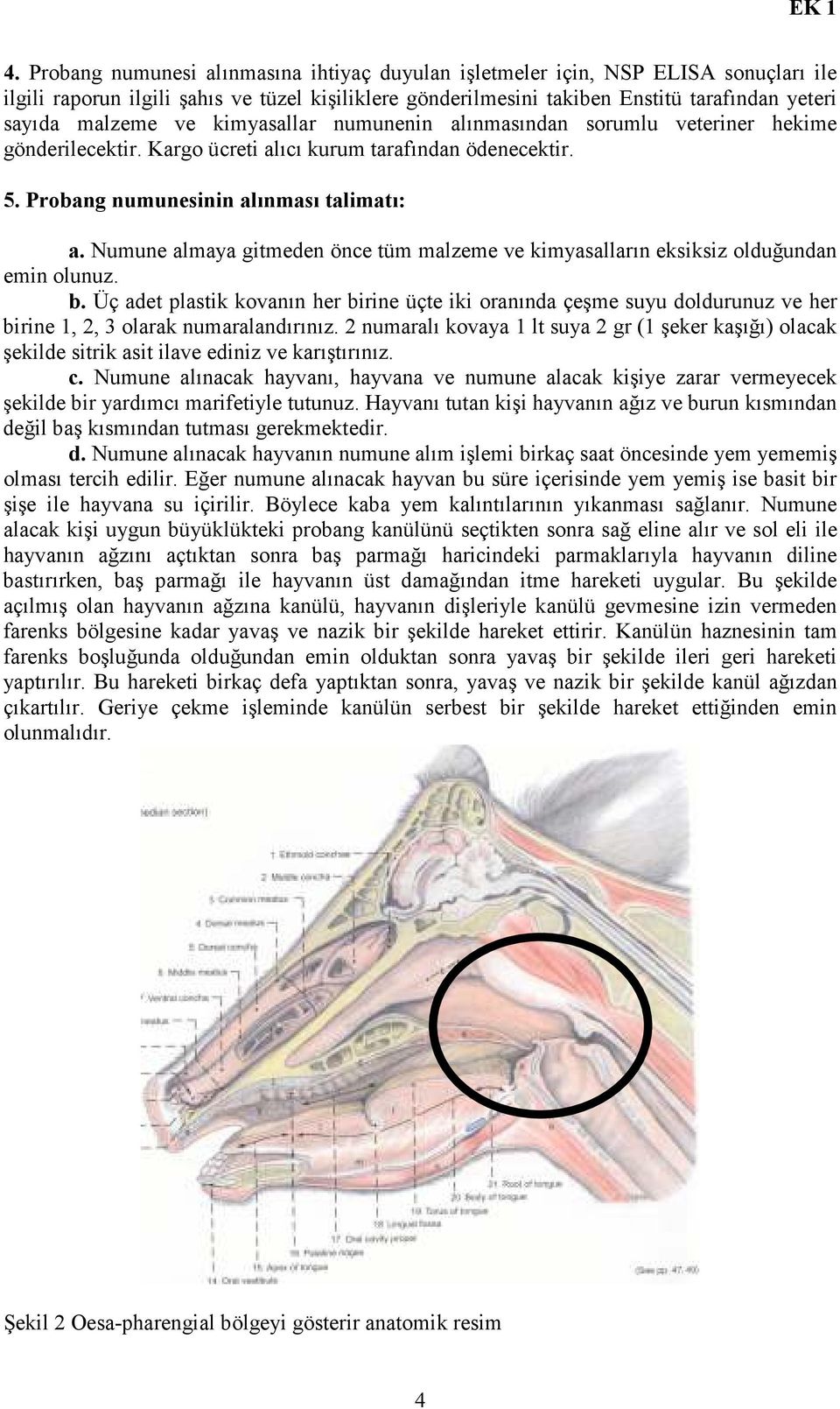 Numune almaya gitmeden önce tüm malzeme ve kimyasalların eksiksiz olduğundan emin olunuz. b.