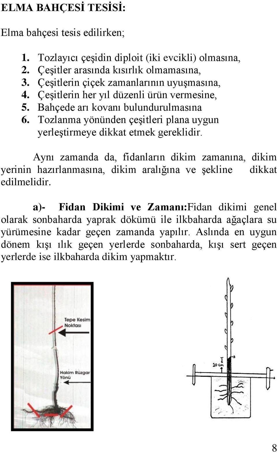 Tozlanma yönünden çeşitleri plana uygun yerleştirmeye dikkat etmek gereklidir.