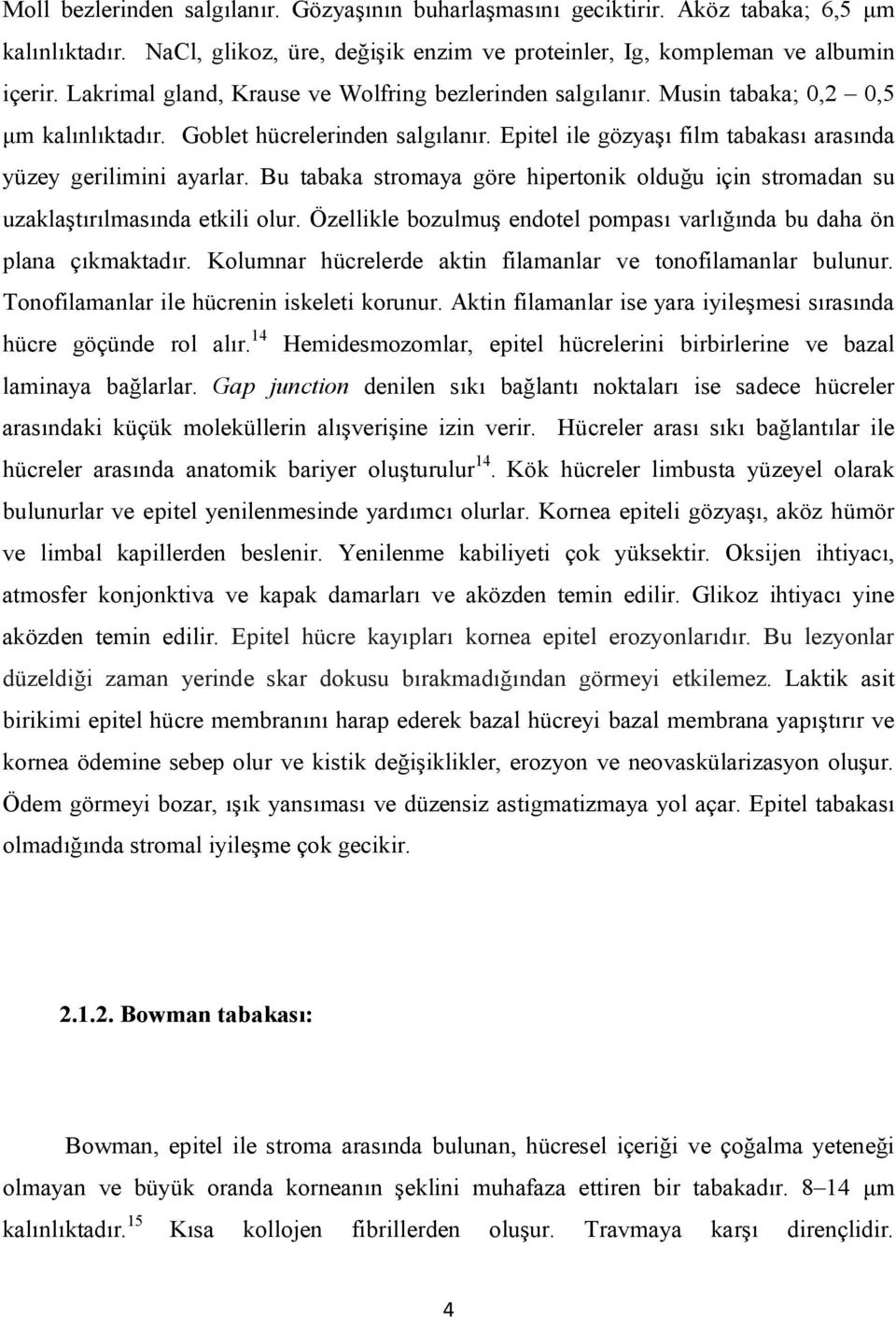 Bu tabaka stromaya göre hipertonik olduğu için stromadan su uzaklaştırılmasında etkili olur. Özellikle bozulmuş endotel pompası varlığında bu daha ön plana çıkmaktadır.