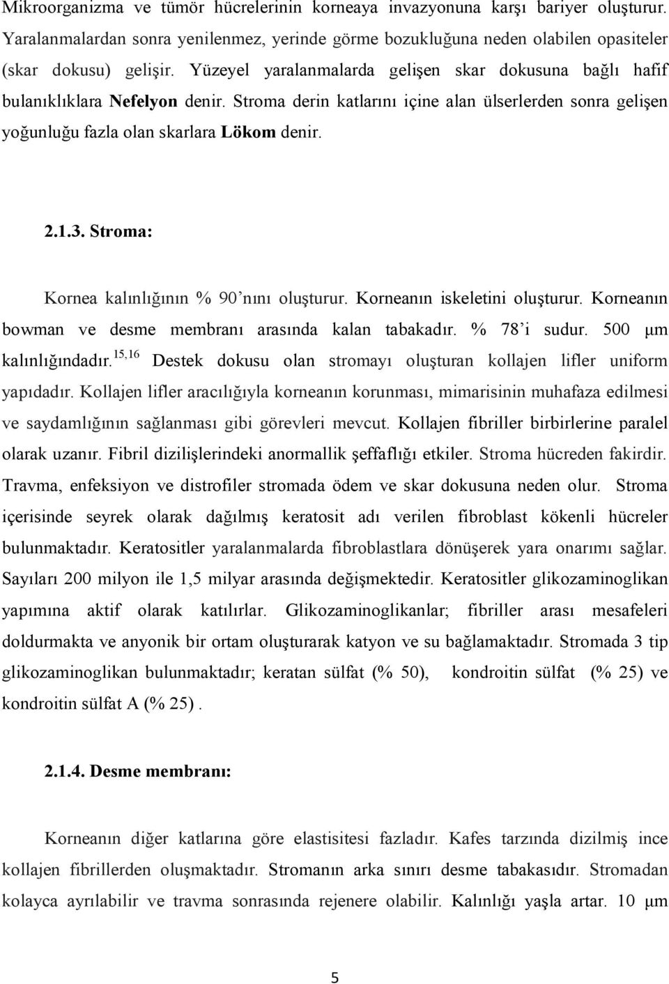 Stroma: Kornea kalınlığının % 90 nını oluşturur. Korneanın iskeletini oluşturur. Korneanın bowman ve desme membranı arasında kalan tabakadır. % 78 i sudur. 500 μm kalınlığındadır.