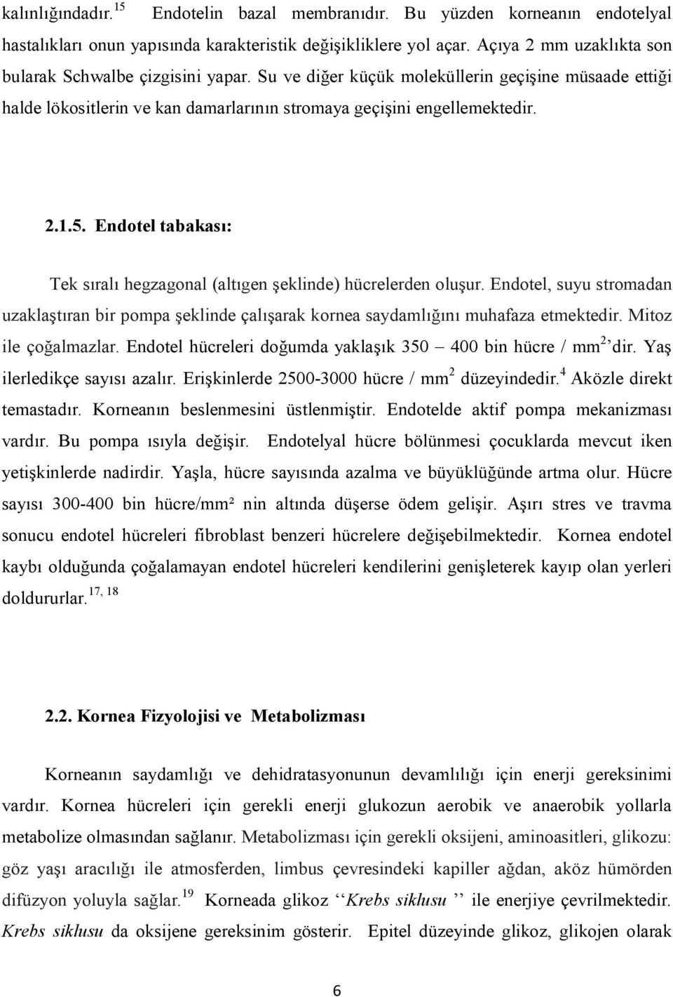 Endotel tabakası: Tek sıralı hegzagonal (altıgen şeklinde) hücrelerden oluşur. Endotel, suyu stromadan uzaklaştıran bir pompa şeklinde çalışarak kornea saydamlığını muhafaza etmektedir.