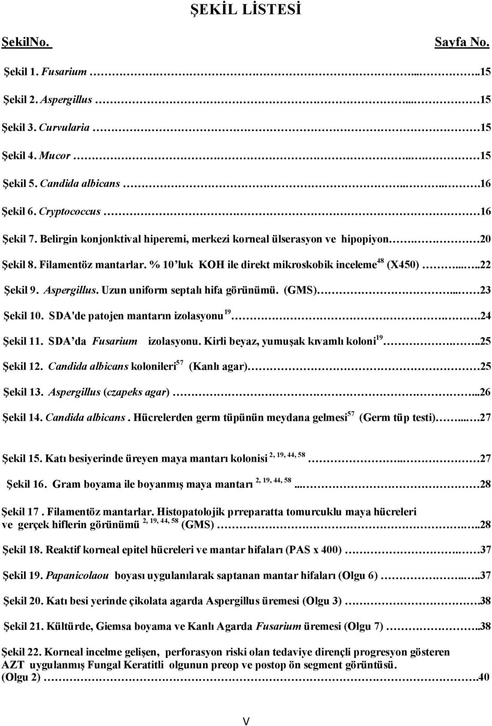 Uzun uniform septalı hifa görünümü. (GMS)... 23 Şekil 10. SDA'de patojen mantarın izolasyonu 19..24 Şekil 11. SDA da Fusarium izolasyonu. Kirli beyaz, yumuşak kıvamlı koloni 19...25 Şekil 12.