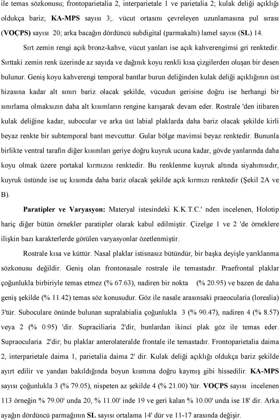 Sırt zemin rengi açık bronz-kahve, vücut yanları ise açık kahverengimsi gri renktedir. Sırttaki zemin renk üzerinde az sayıda ve dağınık koyu renkli kısa çizgilerden oluşan bir desen bulunur.