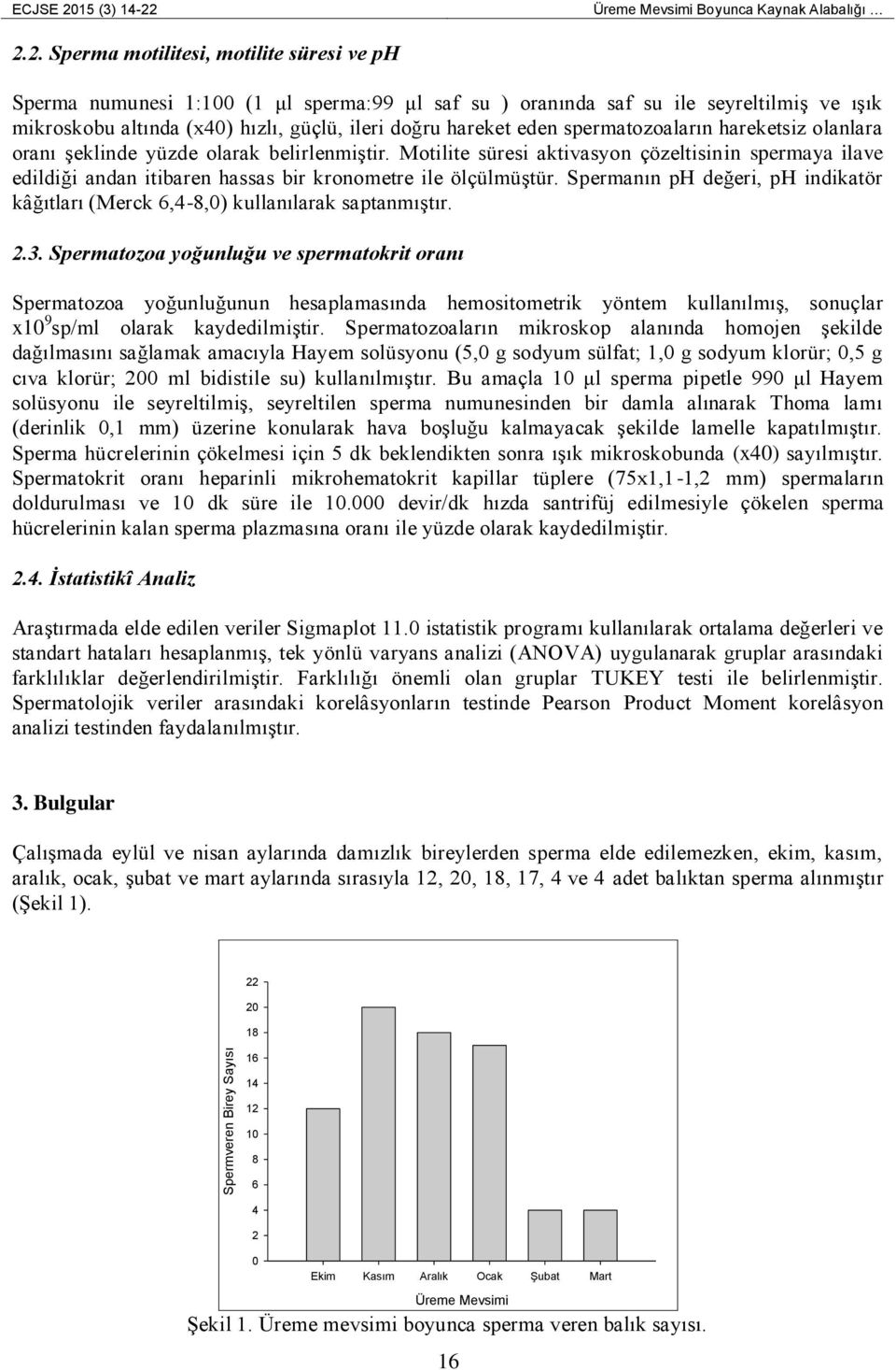 Boyunca Kaynak Alabalığı 2.