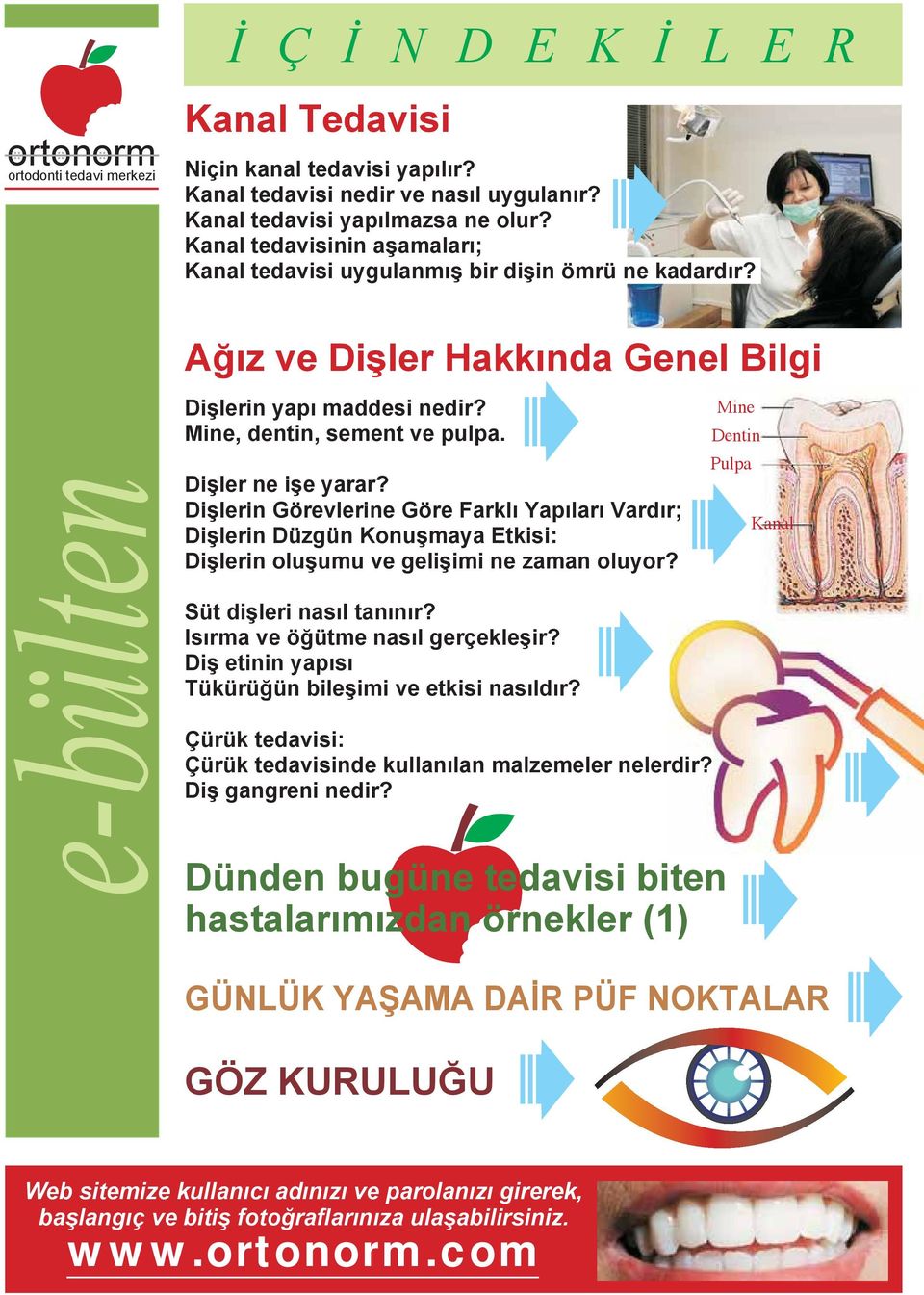 Dişlerin Görevlerine Göre Farklı Yapıları Vardır; Dişlerin Düzgün Konuşmaya Etkisi: Dişlerin oluşumu ve gelişimi ne zaman oluyor? Süt dişleri nasıl tanınır? Isırma ve öğütme nasıl gerçekleşir?