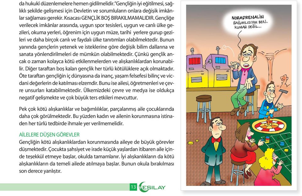 Gençli e verilecek imkânlar aras nda, uygun spor tesisleri, uygun ve canl ülke gezileri, okuma yerleri, ö renim için uygun müze, tarihi yerlere gurup gezileri ve daha birçok canl ve faydal ülke tan t