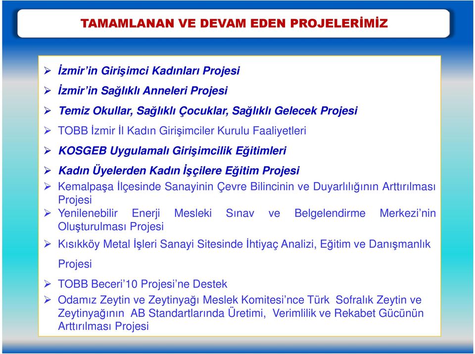 Arttırılması Projesi Yenilenebilir Enerji Mesleki Sınav ve Belgelendirme Merkezi nin Oluşturulması Projesi Kısıkköy Metal Đşleri Sanayi Sitesinde Đhtiyaç Analizi, Eğitim ve Danışmanlık