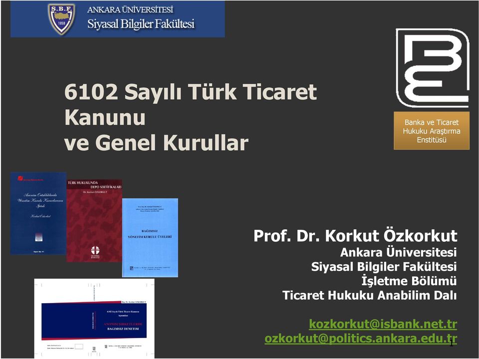 Korkut Özkorkut Ankara Üniversitesi Siyasal Bilgiler Fakültesi