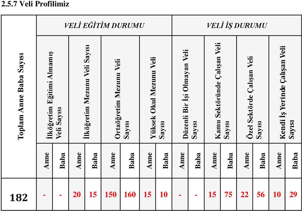 Sayısı Kamu Sektöründe Çalışan Veli Sayısı Özel Sektörde Çalışan Veli Sayısı Kendi İş Yerinde Çalışan Veli Sayısı Anne