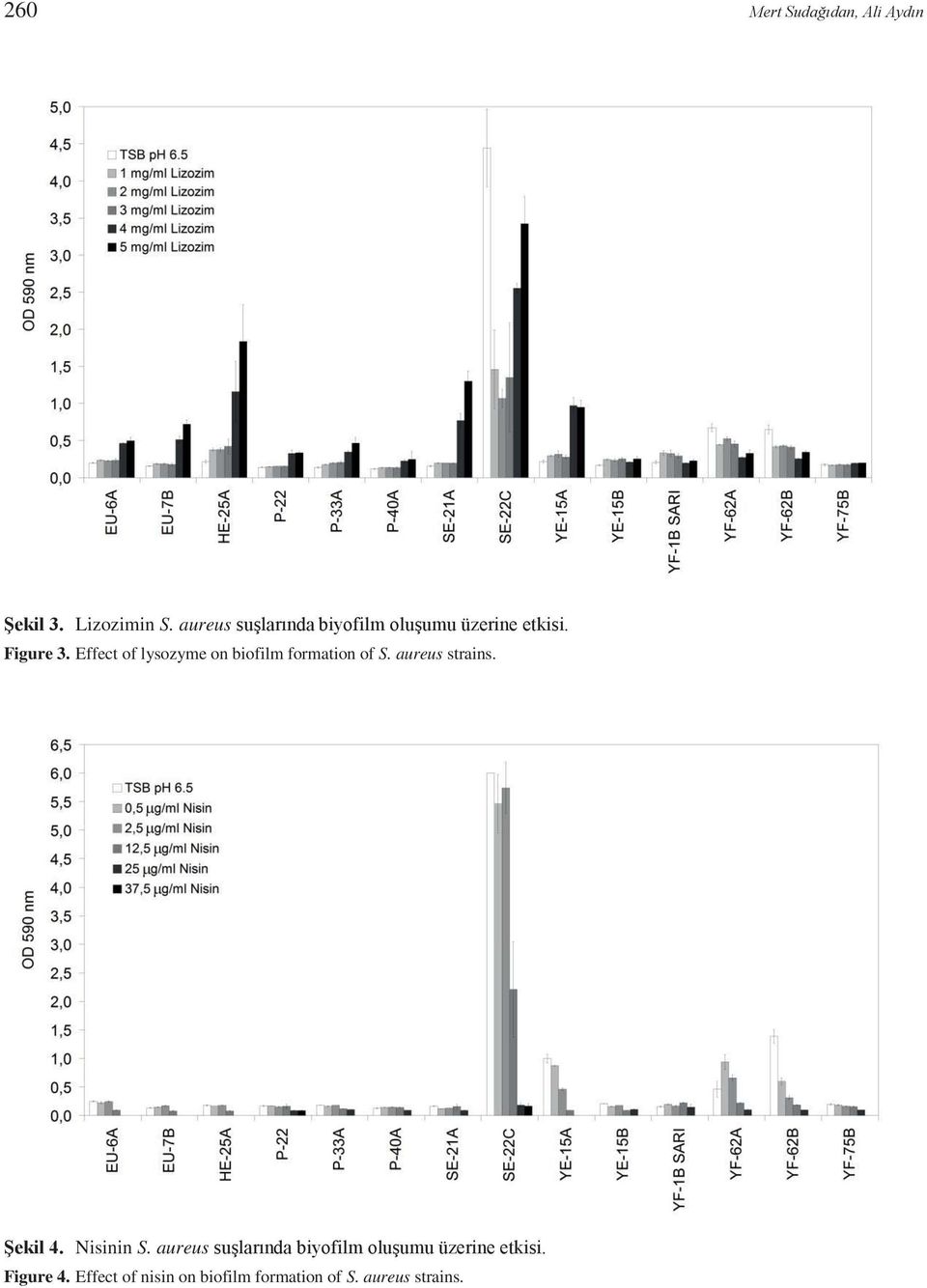 Effect of lysozyme on biofilm formation of S. aureus strains. Şekil 4.