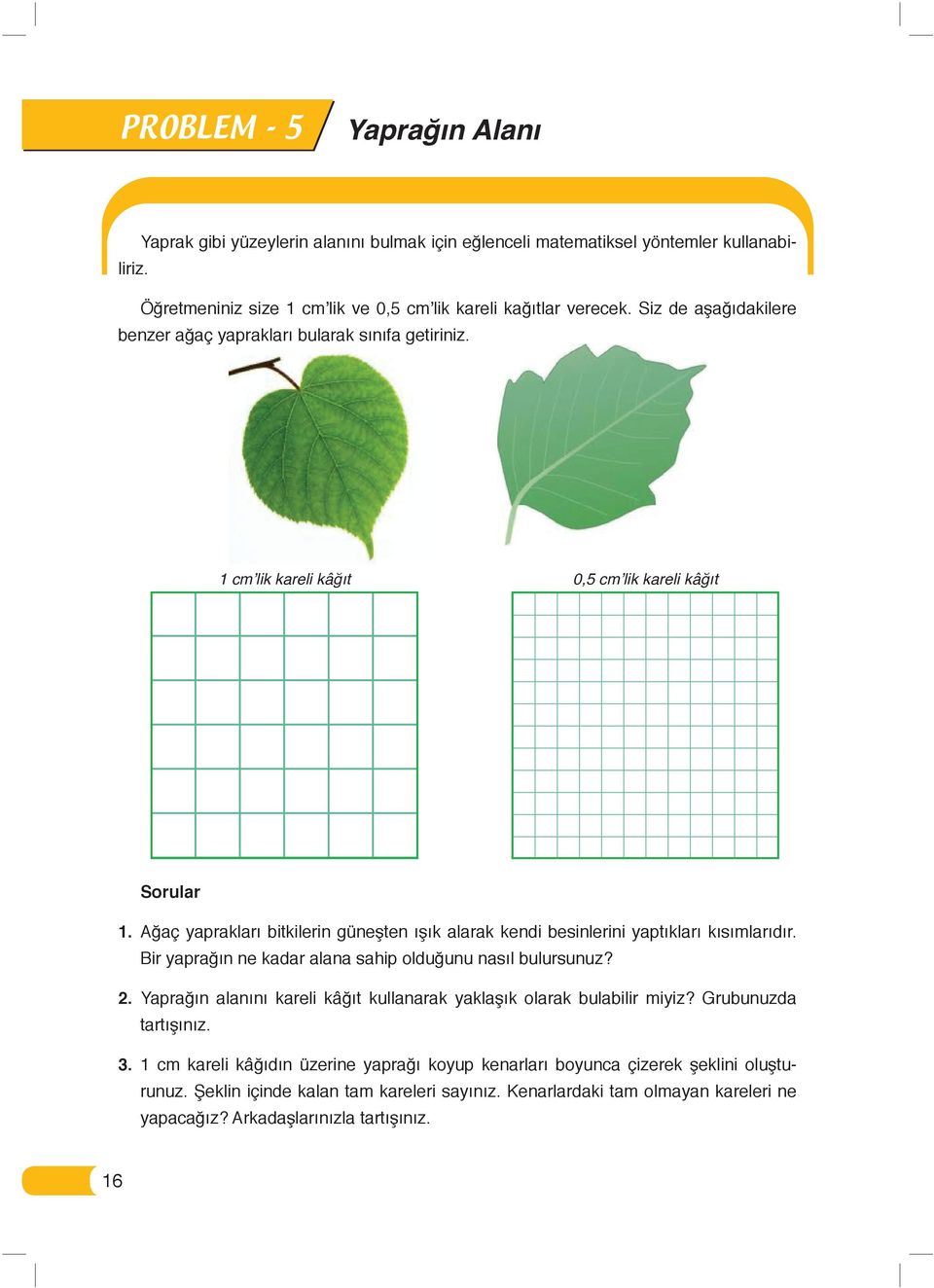 Ağaç yaprakları bitkilerin güneşten ışık alarak kendi besinlerini yaptıkları kısımlarıdır. Bir yaprağın ne kadar alana sahip olduğunu nasıl bulursunuz? 2.