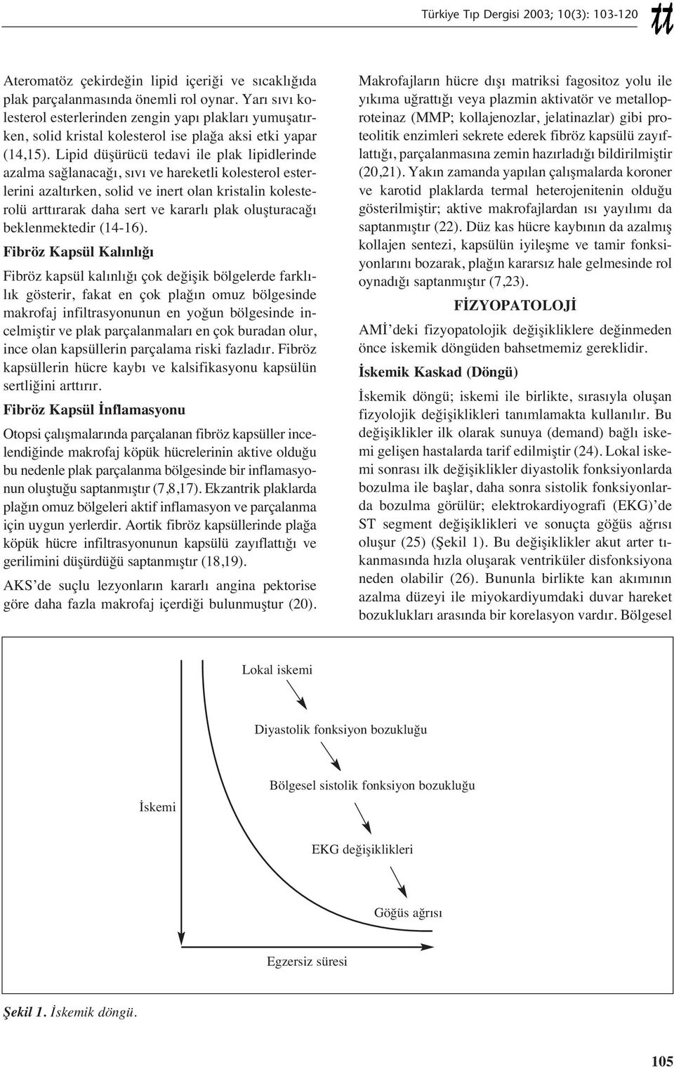 Lipid düşürücü tedavi ile plak lipidlerinde azalma sağlanacağ, s v ve hareketli kolesterol esterlerini azalt rken, solid ve inert olan kristalin kolesterolü artt rarak daha sert ve kararl plak