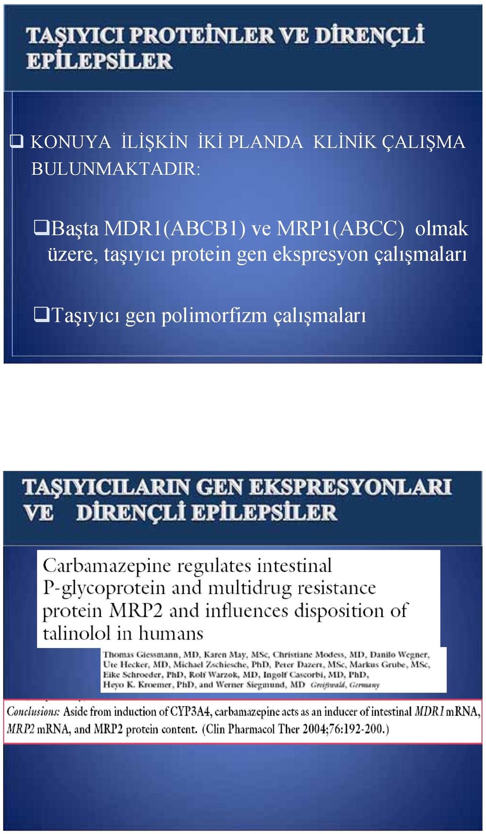 MRP1(ABCC) olmak üzere, taşıyıcı protein gen