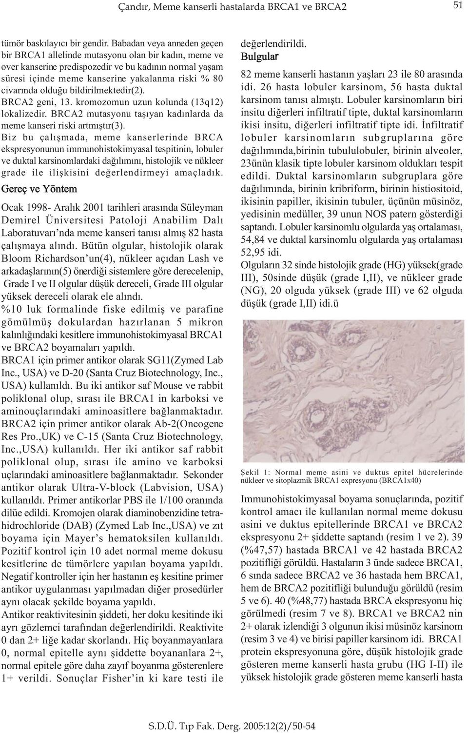 olduðu bildirilmektedir(2). BRCA2 geni, 13. kromozomun uzun kolunda (13q12) lokalizedir. BRCA2 mutasyonu taþýyan kadýnlarda da meme kanseri riski artmýþtýr(3).