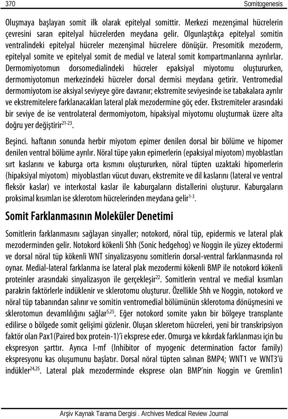 Presomitik mezoderm, epitelyal somite ve epitelyal somit de medial ve lateral somit kompartmanlarına ayrılırlar.