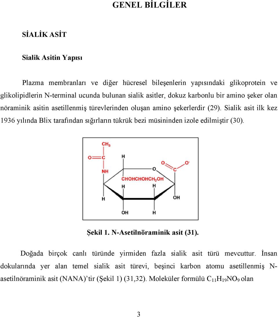 Sialik asit ilk kez 1936 yılında Blix tarafından sığırların tükrük bezi müsininden izole edilmiştir (30). Şekil 1. N-Asetilnöraminik asit (31).