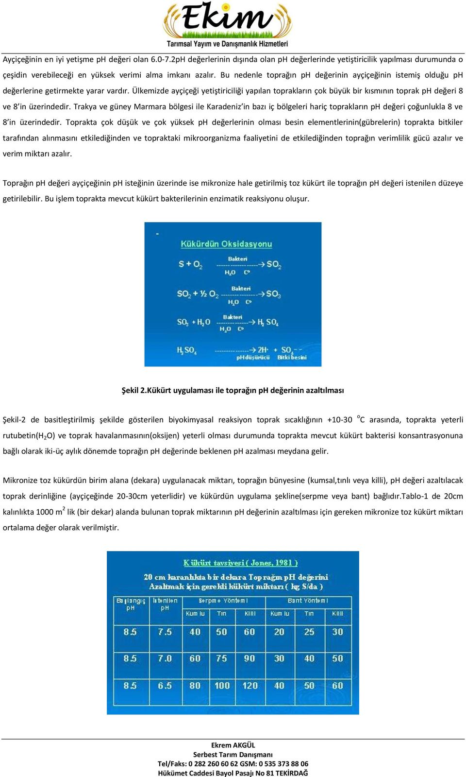 Ülkemizde ayçiçeği yetiştiriciliği yapılan toprakların çok büyük bir kısmının toprak ph değeri 8 ve 8 in üzerindedir.