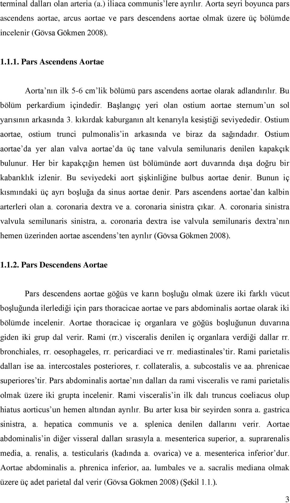 BaĢlangıç yeri olan ostium aortae sternum un sol yarısının arkasında 3. kıkırdak kaburganın alt kenarıyla kesiģtiği seviyededir.