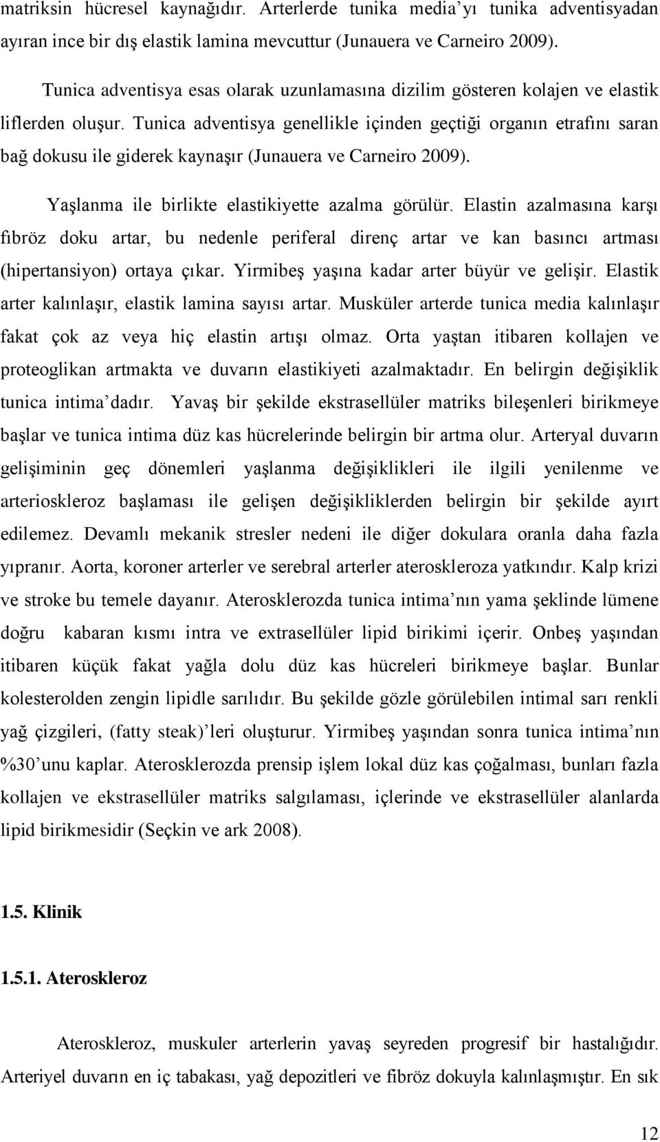 Tunica adventisya genellikle içinden geçtiği organın etrafını saran bağ dokusu ile giderek kaynaģır (Junauera ve Carneiro 2009). YaĢlanma ile birlikte elastikiyette azalma görülür.