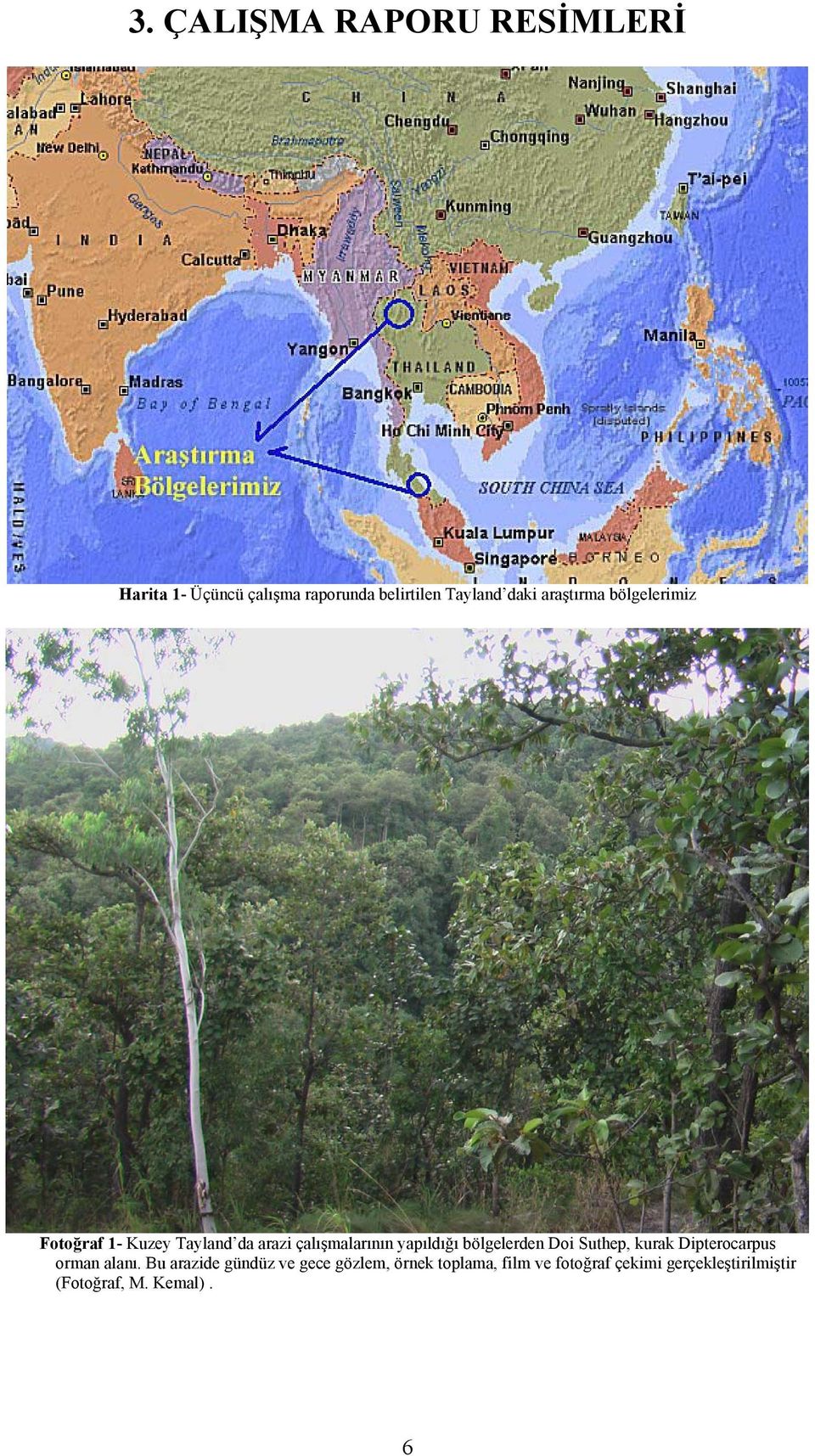 yapıldığı bölgelerden Doi Suthep, kurak Dipterocarpus orman alanı.