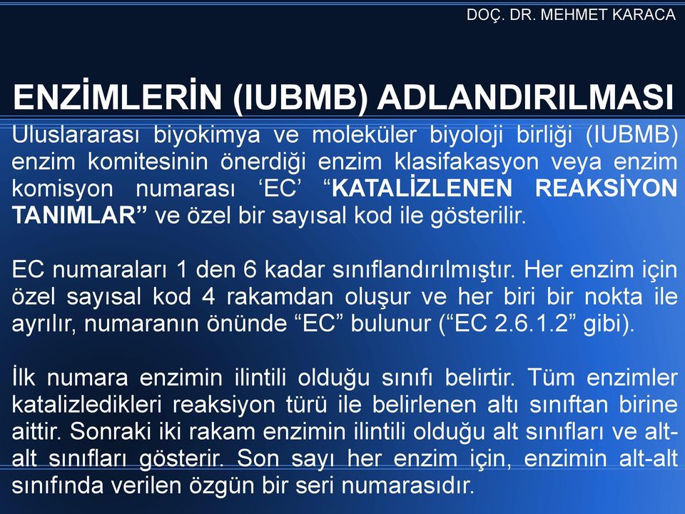 Her enzim için özel sayısal kod 4 rakamdan oluşur ve her biri bir nokta ile ayrılır, numaranın önünde EC bulunur ( EC 2.6.1.2 gibi). İlk numara enzimin ilintili olduğu sınıfı belirtir.