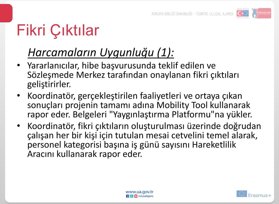 Koordinatör, gerçekleştirilen faaliyetleri ve ortaya çıkan sonuçları projenin tamamı adına Mobility Tool kullanarak rapor eder.